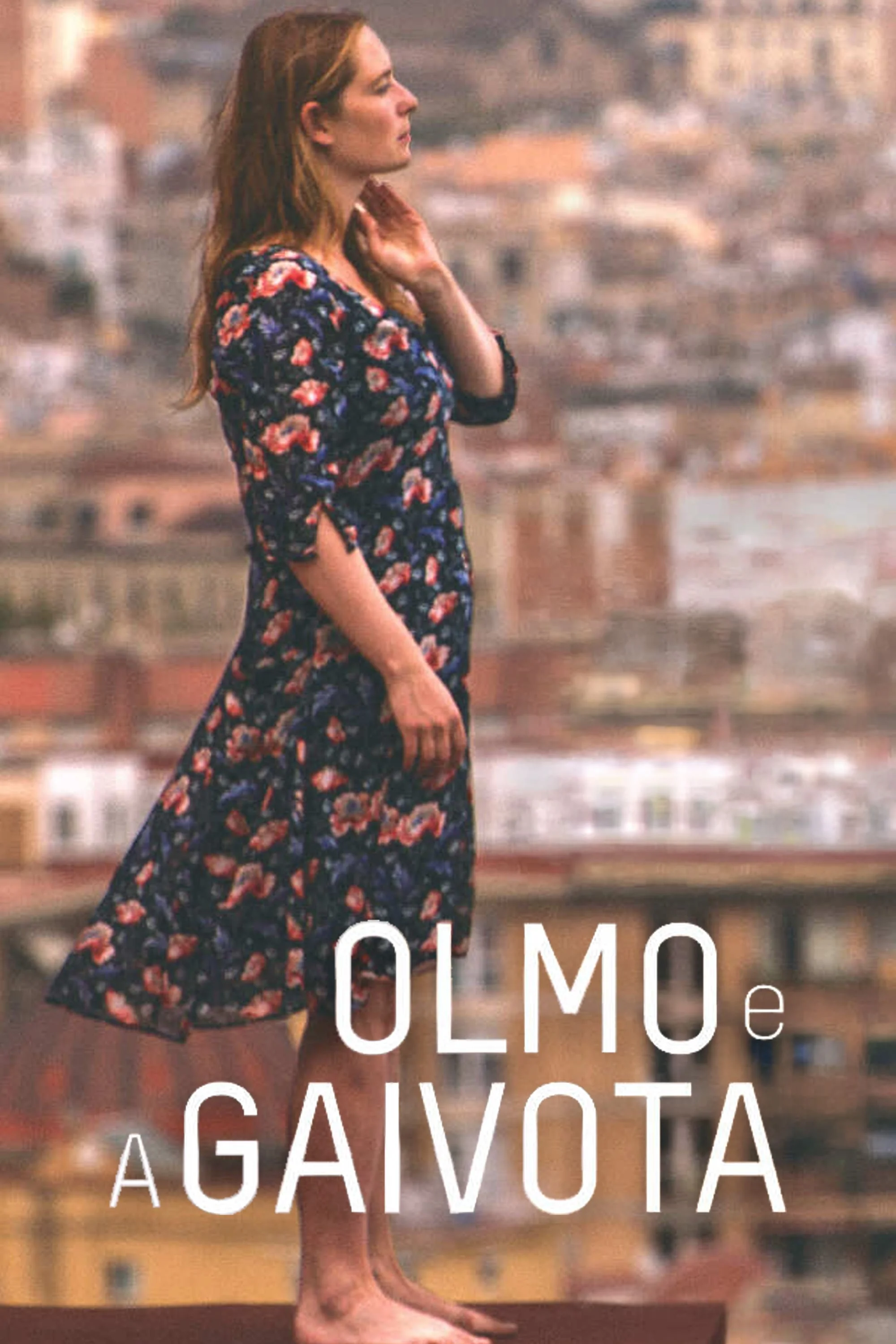 OLMO E A GAIVOTA