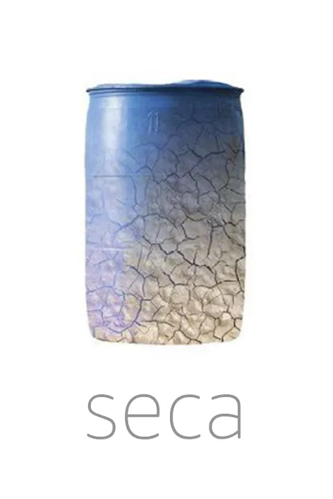 Seca